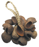 Toca Seed Shell Shaker