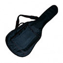 Guitar Bag